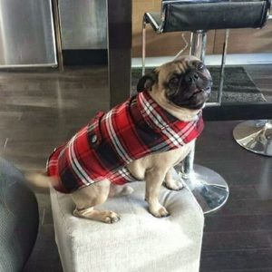 Meet your Posher, Leyanne